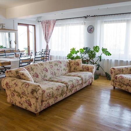 Silvia'S Apartment Voluntari Extérieur photo